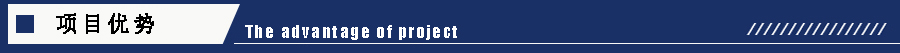 1605170470199541.jpg 項(xiàng)目優(yōu)勢.jpg